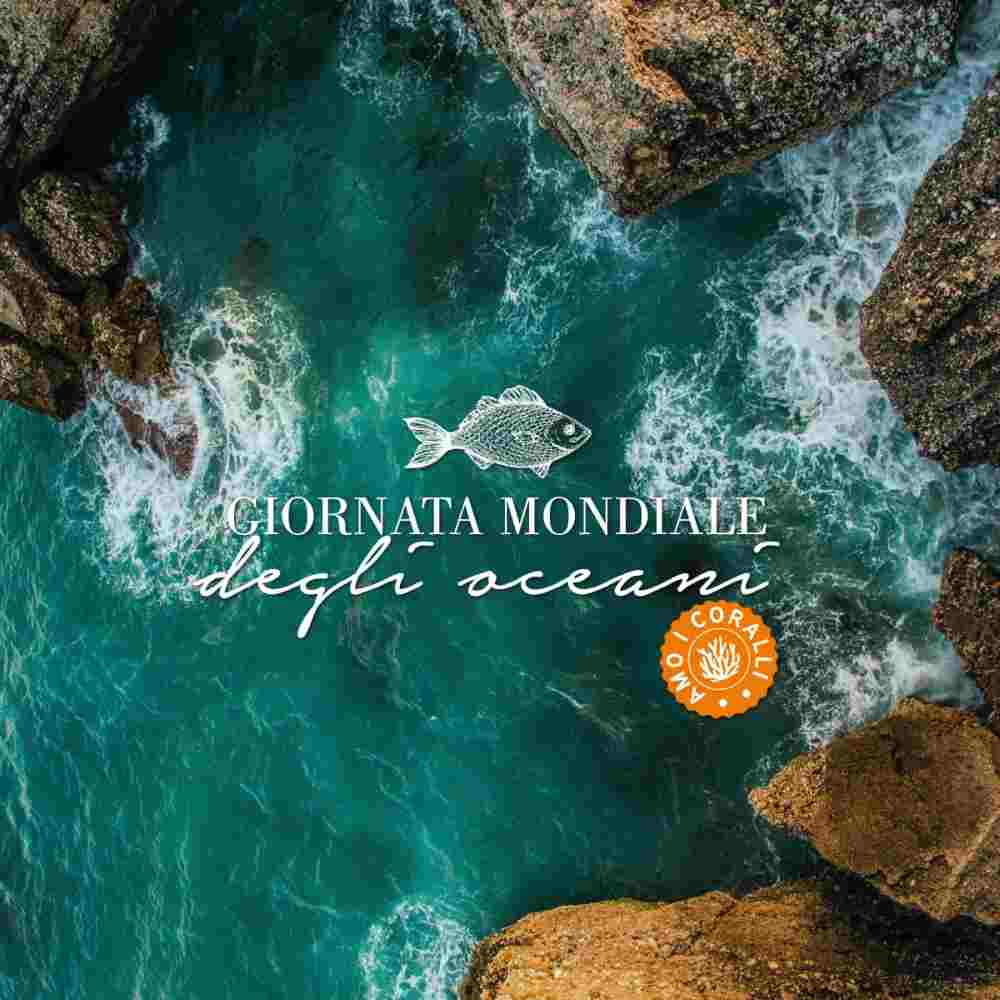 reef-safe-sun-care-korall-barat-fenyvedo